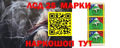 spice Новозыбков