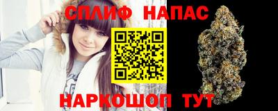 spice Новозыбков