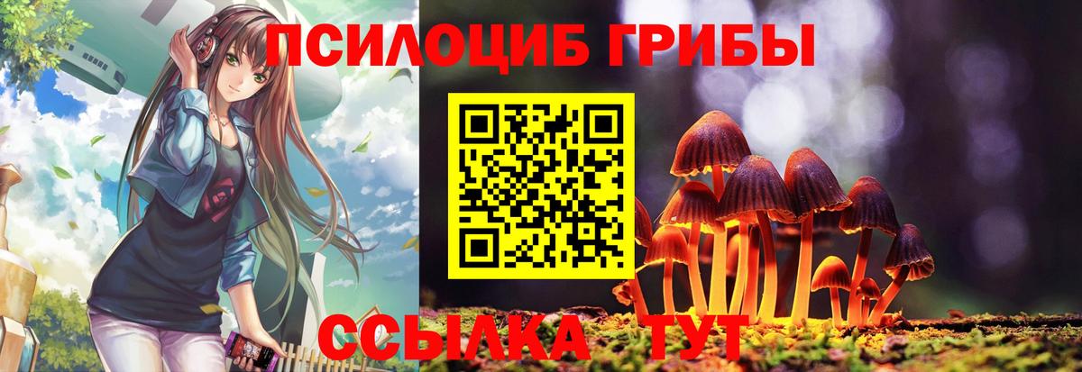 Северобайкальск  Псилоцибиновые грибы MAGIC MUSHROOMS  Вход с VPN  Псилоцибиновые грибы мицелий 